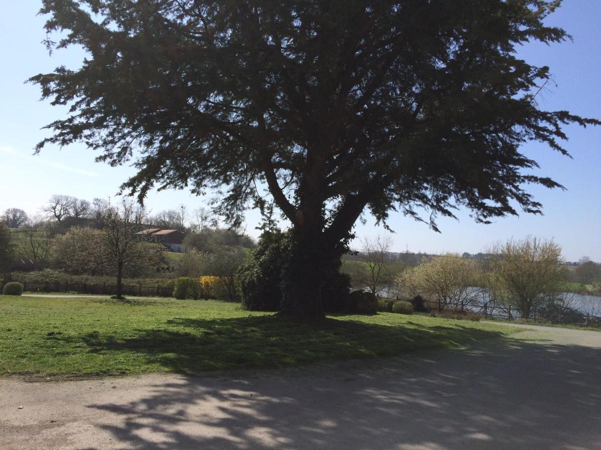 Le Petit Monty Gite Cote Etang Saint-Malo-du-Bois Exterior foto